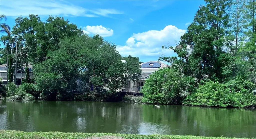 2219 Alice Lane Clearwater FL 33764