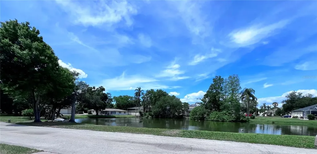 2219 Alice Lane Clearwater FL 33764