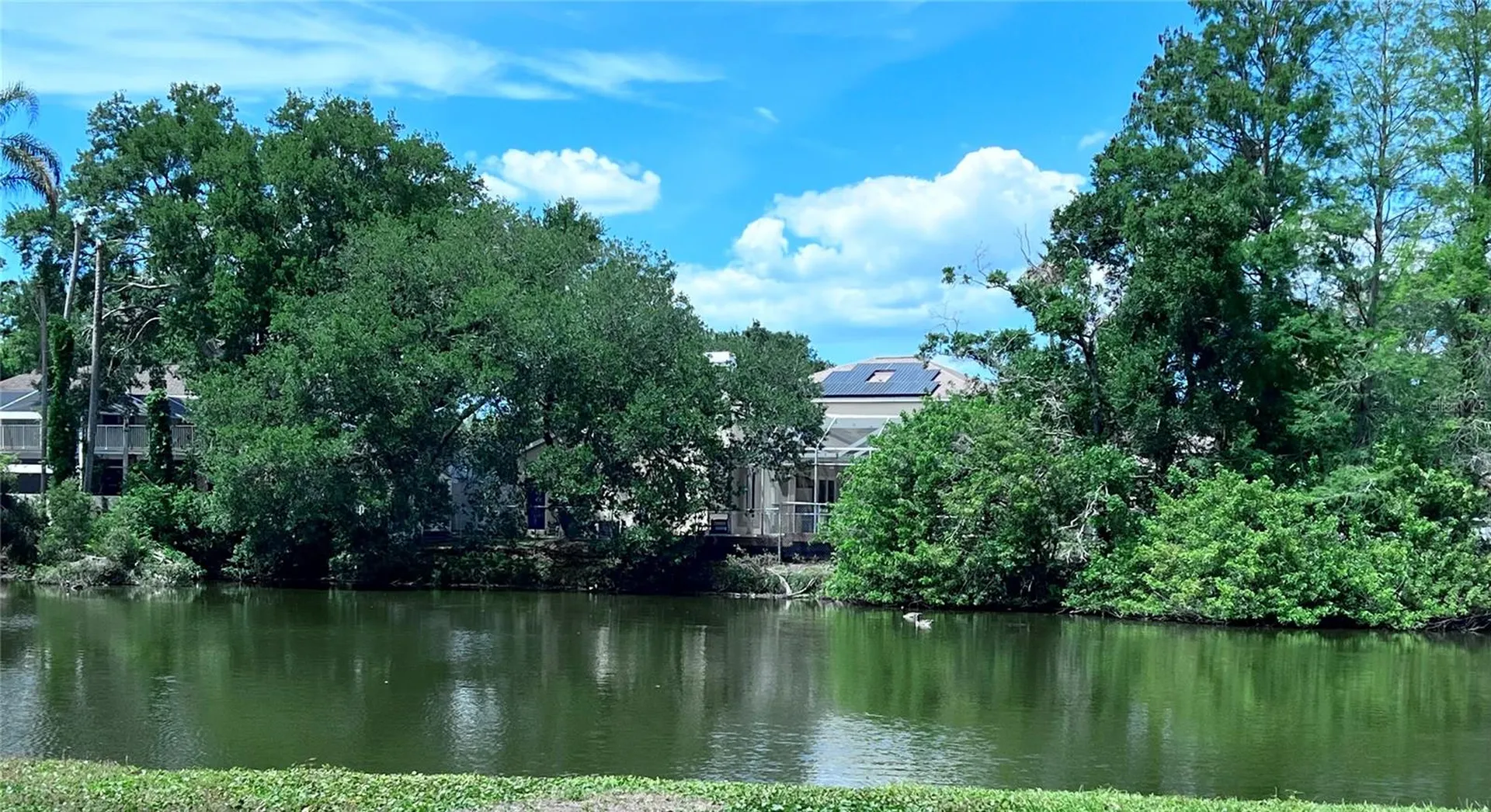 2219 Alice Lane Clearwater FL 33764
