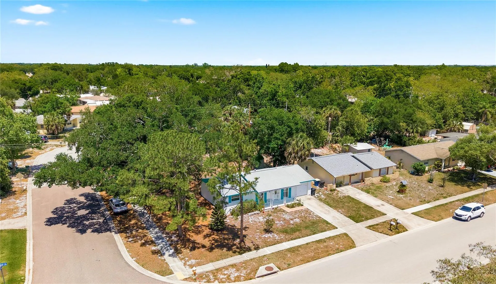 2876 Edenwood Street Clearwater FL 33759