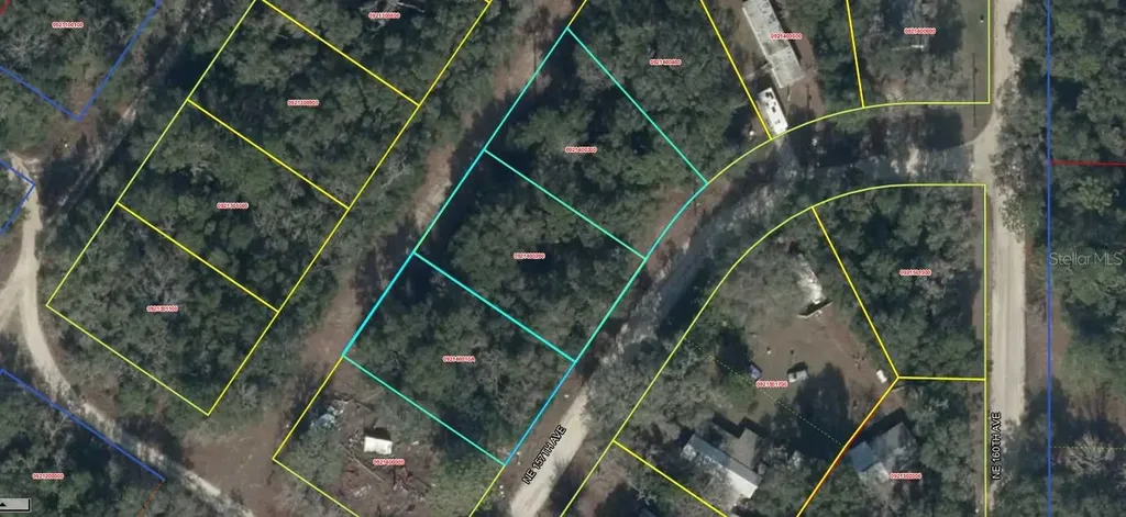 Lot 2-4 NE 157th Avenue Williston FL 32696
