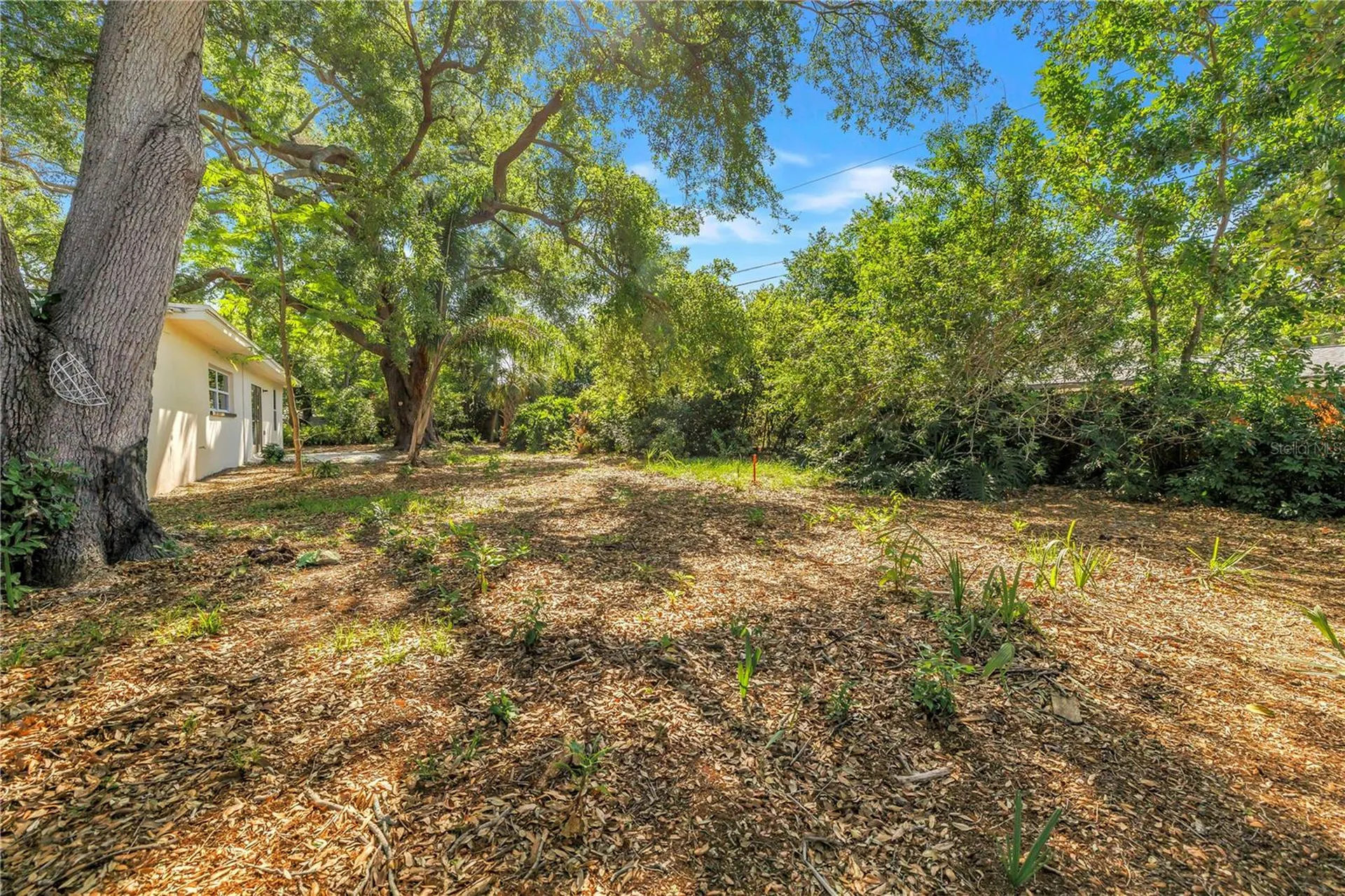 2161 NE Hillwood Court Clearwater FL 33763