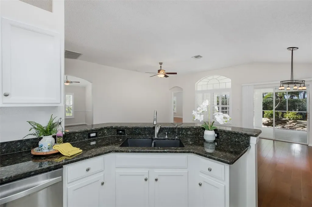 11428 Hidden Cove Court Trinity FL 34655