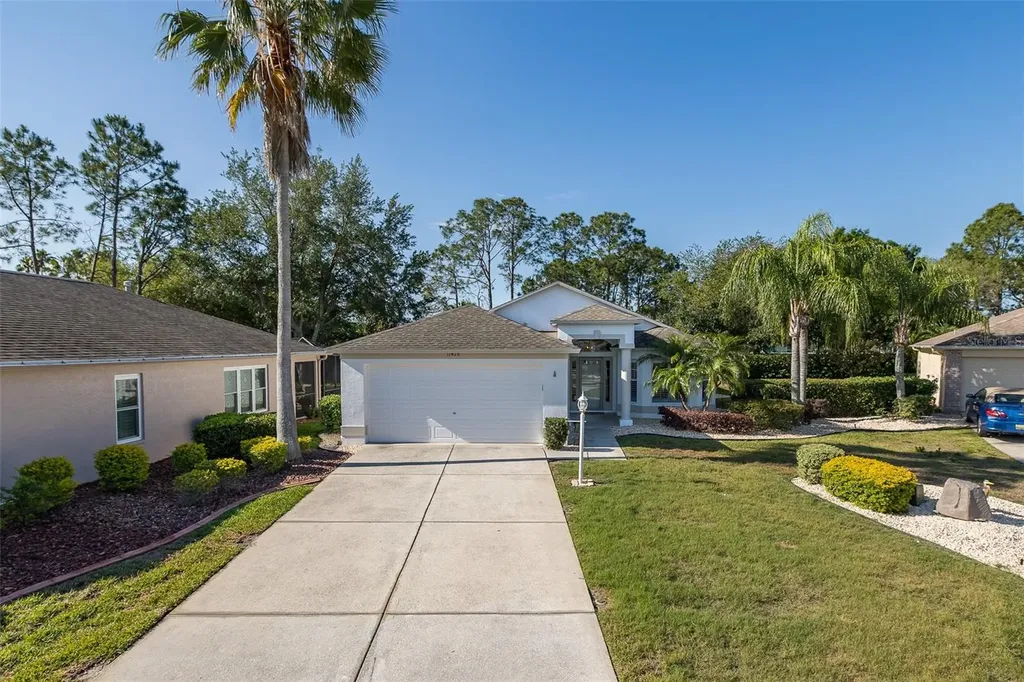 11428 Hidden Cove Court Trinity FL 34655