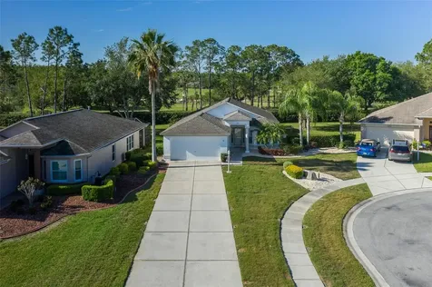 11428 Hidden Cove Court Trinity FL 34655