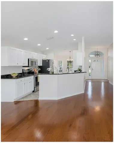 11428 Hidden Cove Court Trinity FL 34655