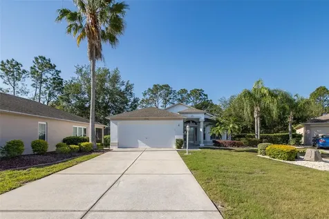 11428 Hidden Cove Court Trinity FL 34655