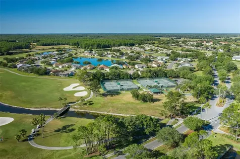 11428 Hidden Cove Court Trinity FL 34655