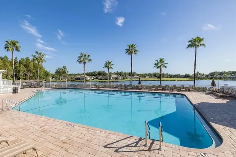 11428 Hidden Cove Court Trinity FL 34655