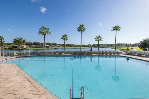 11428 Hidden Cove Court Trinity FL 34655