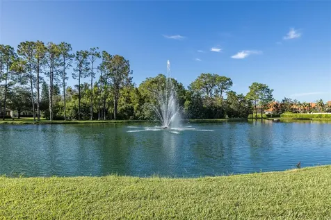 11428 Hidden Cove Court Trinity FL 34655