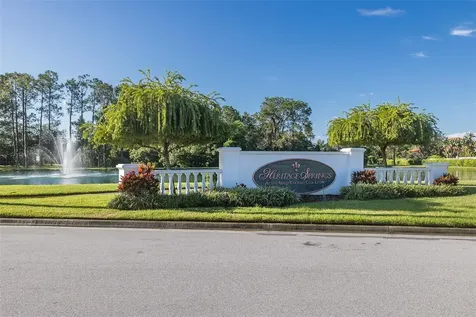 11428 Hidden Cove Court Trinity FL 34655