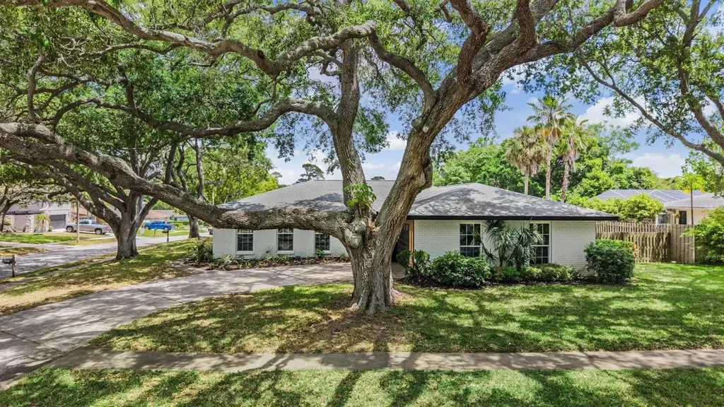 848 Hillside Drive Palm Harbor FL 34683