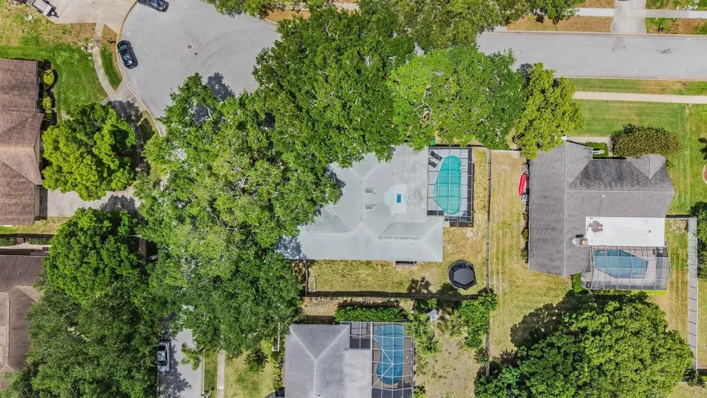 848 Hillside Drive Palm Harbor FL 34683