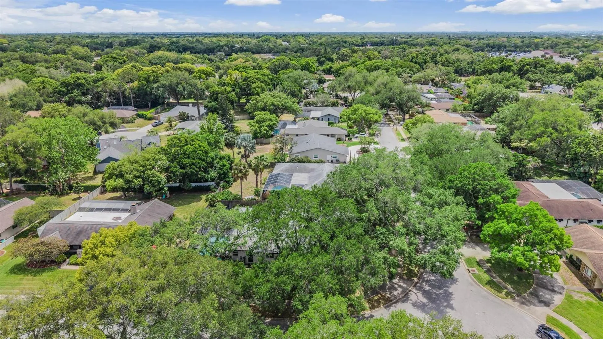 848 Hillside Drive Palm Harbor FL 34683
