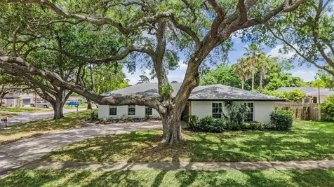 848 Hillside Drive Palm Harbor FL 34683