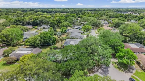 848 Hillside Drive Palm Harbor FL 34683