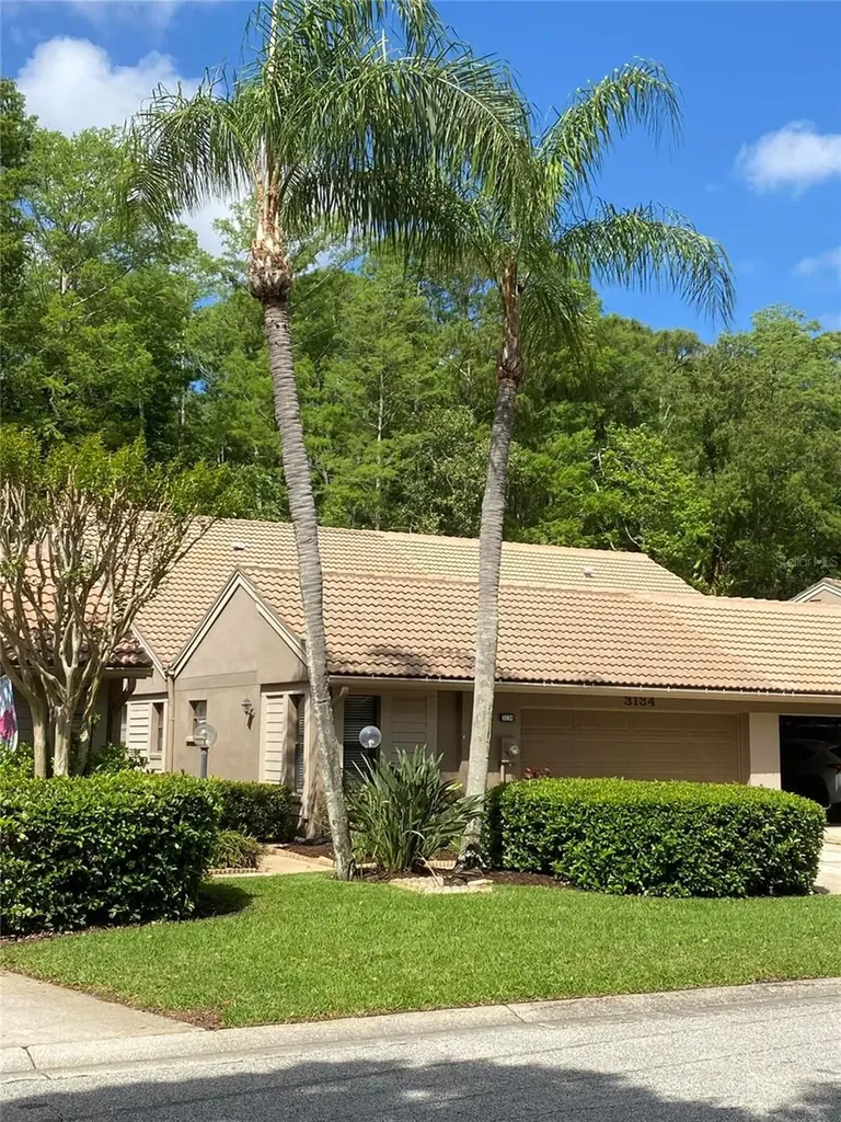3134 Windmoor Drive N Palm Harbor FL 34685