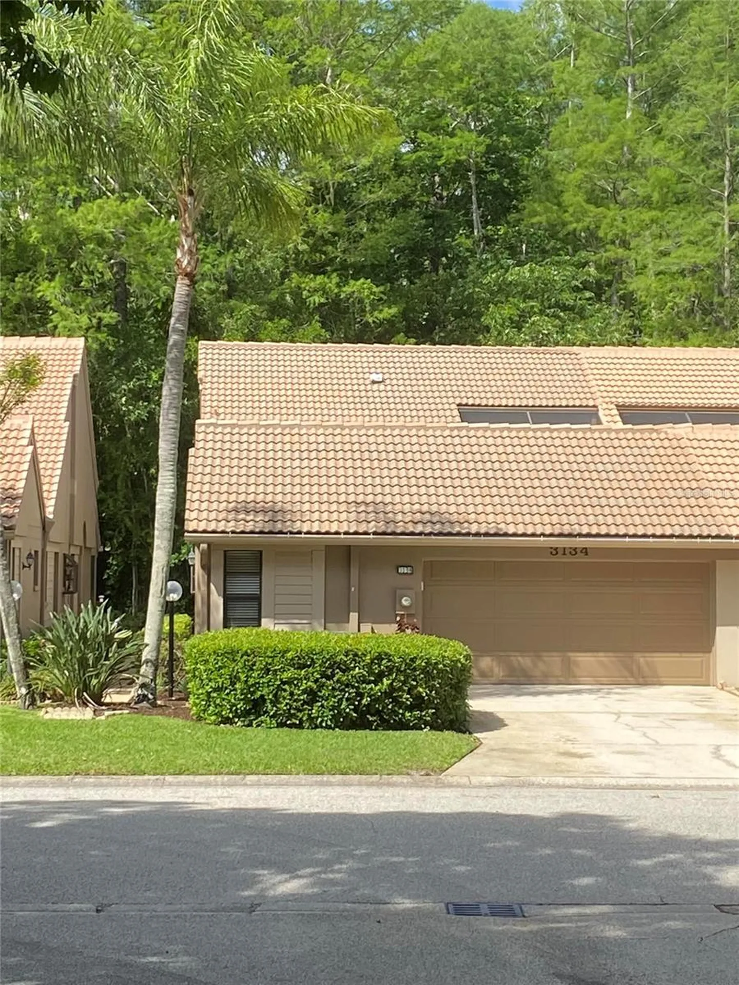 3134 Windmoor Drive N Palm Harbor FL 34685
