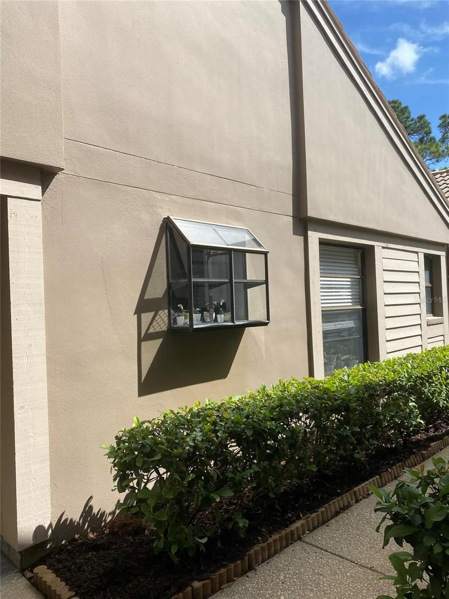 3134 Windmoor Drive N Palm Harbor FL 34685
