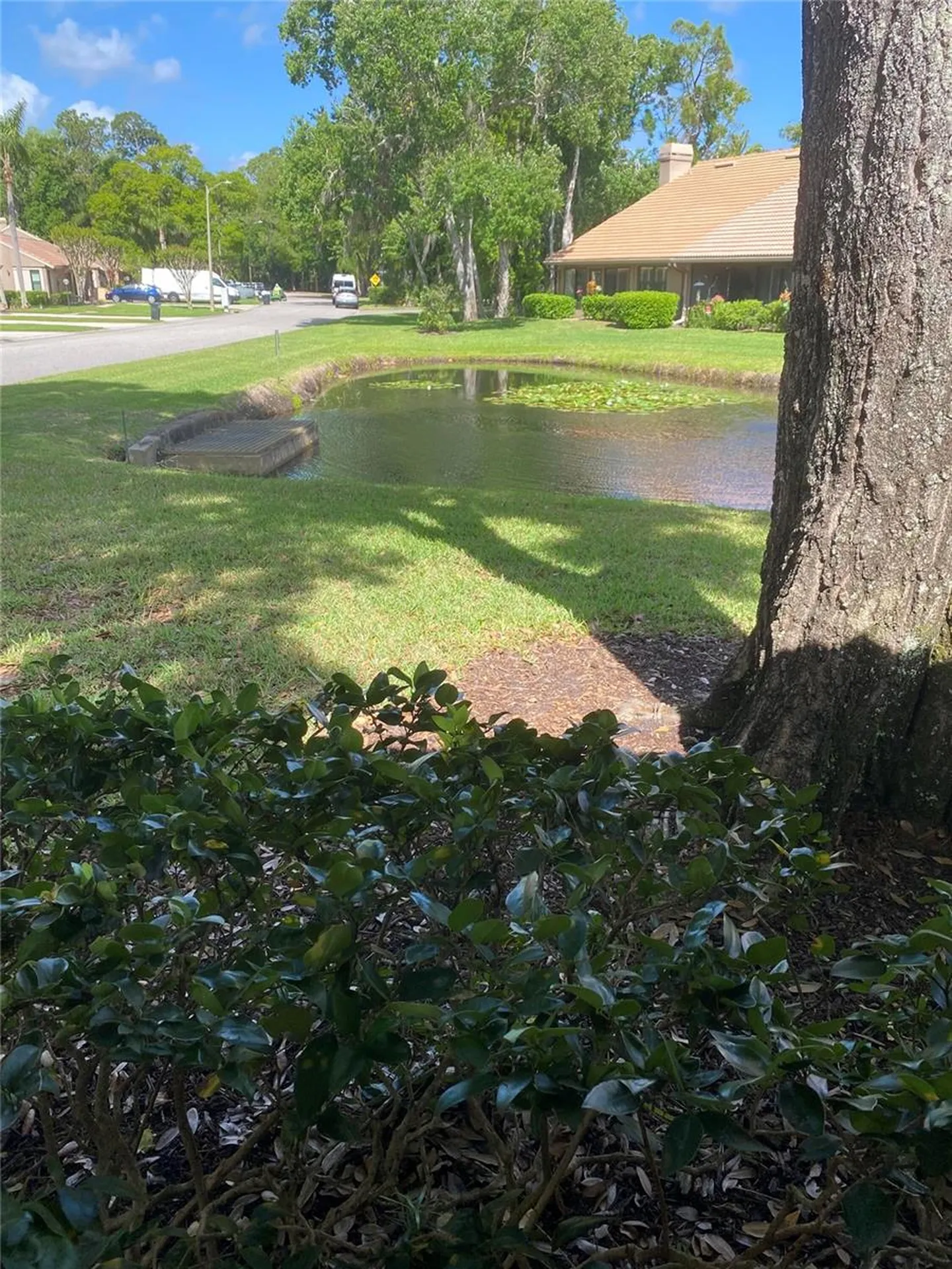 3134 Windmoor Drive N Palm Harbor FL 34685