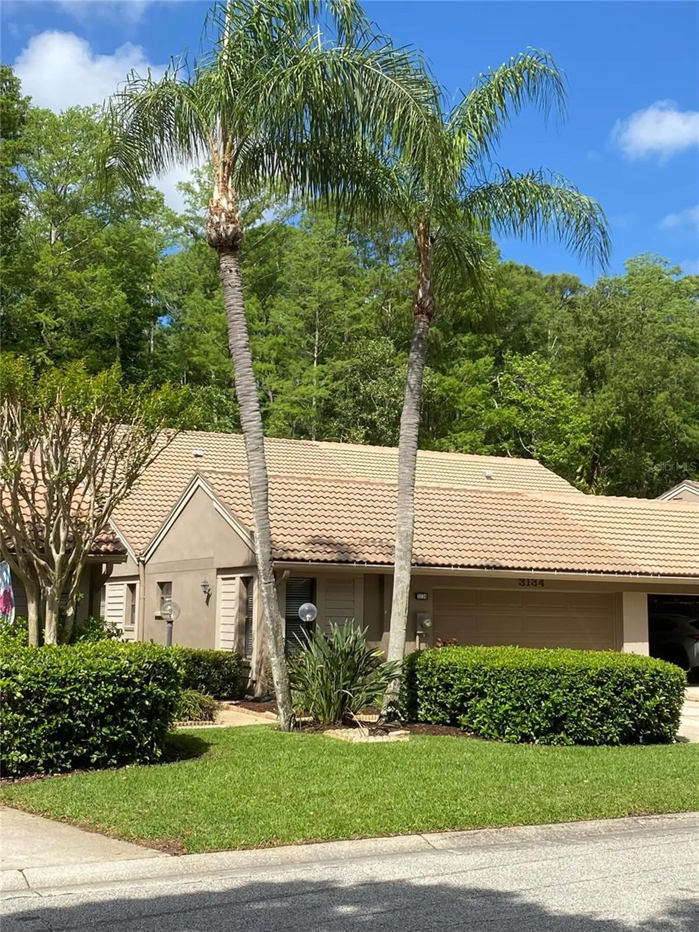 3134 Windmoor Drive N Palm Harbor FL 34685