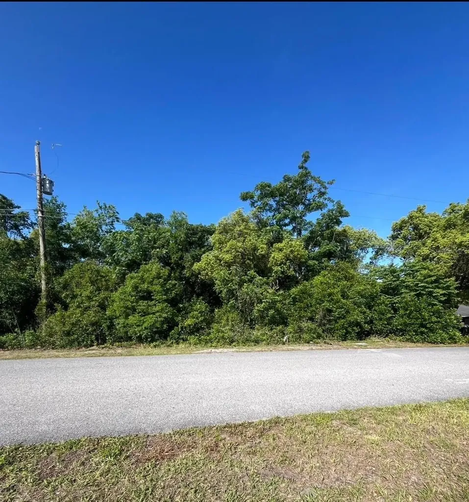 Bolger Avenue Spring Hill FL 34609