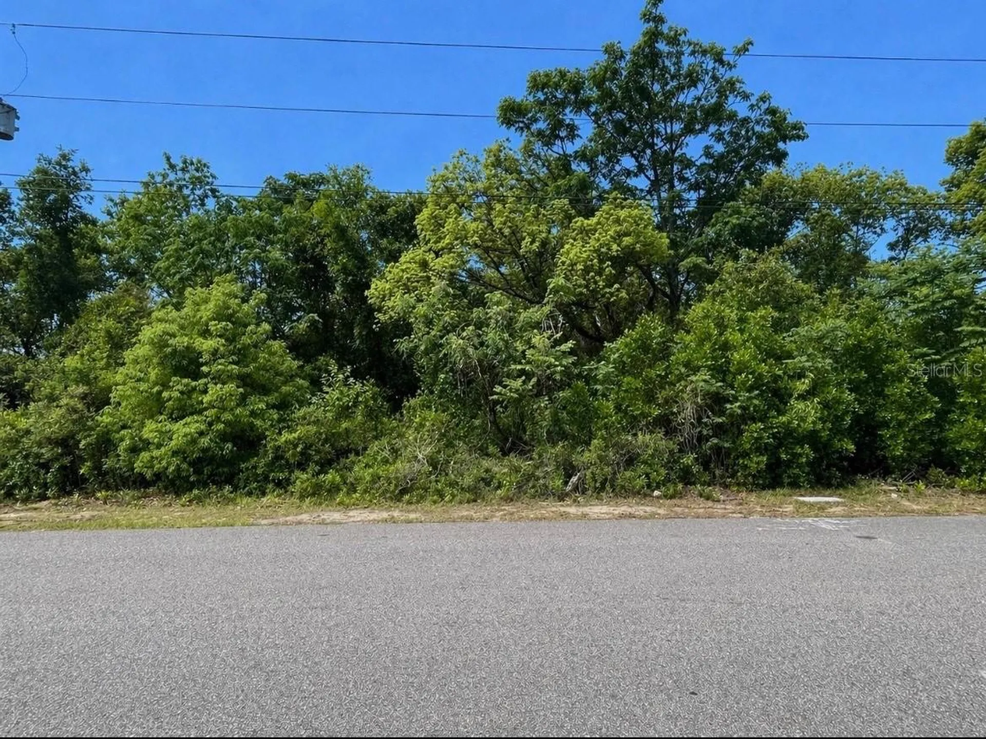 Bolger Avenue Spring Hill FL 34609
