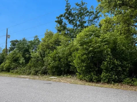 Bolger Avenue Spring Hill FL 34609