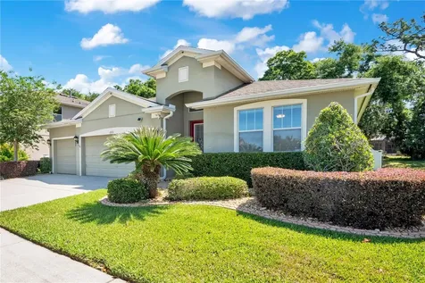 2210 Valterra Vista Way Valrico FL 33594