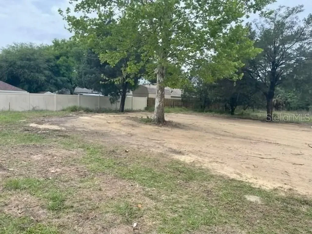 2668 Orange Branch Road Eustis FL 32726
