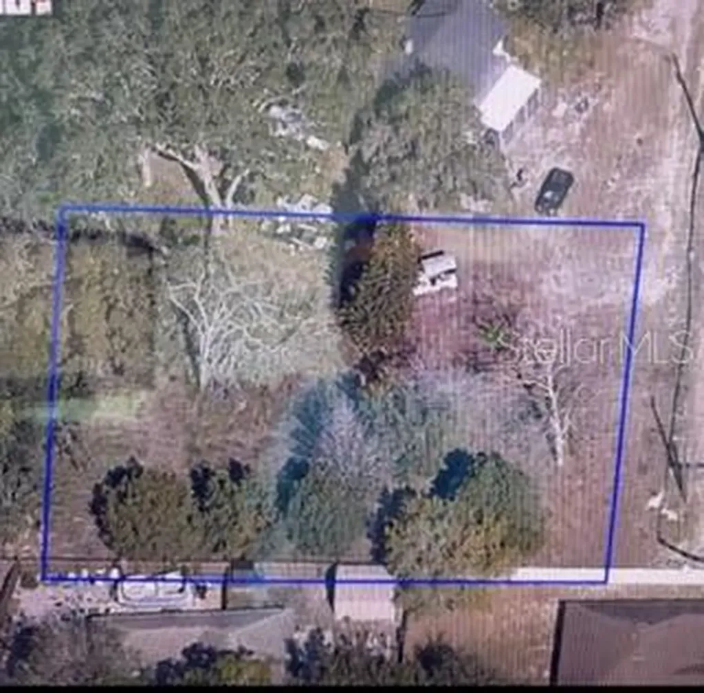 2668 Orange Branch Road Eustis FL 32726