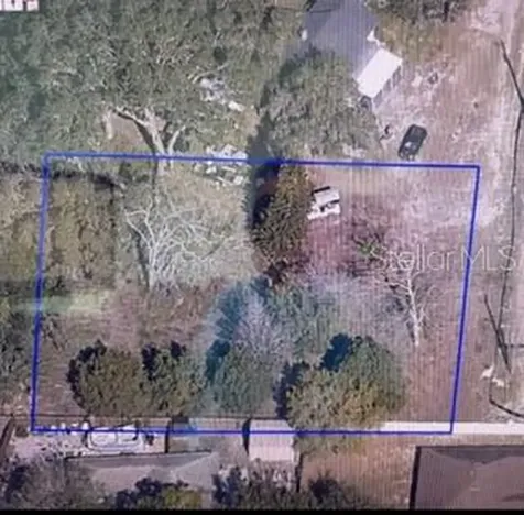 2668 Orange Branch Road Eustis FL 32726