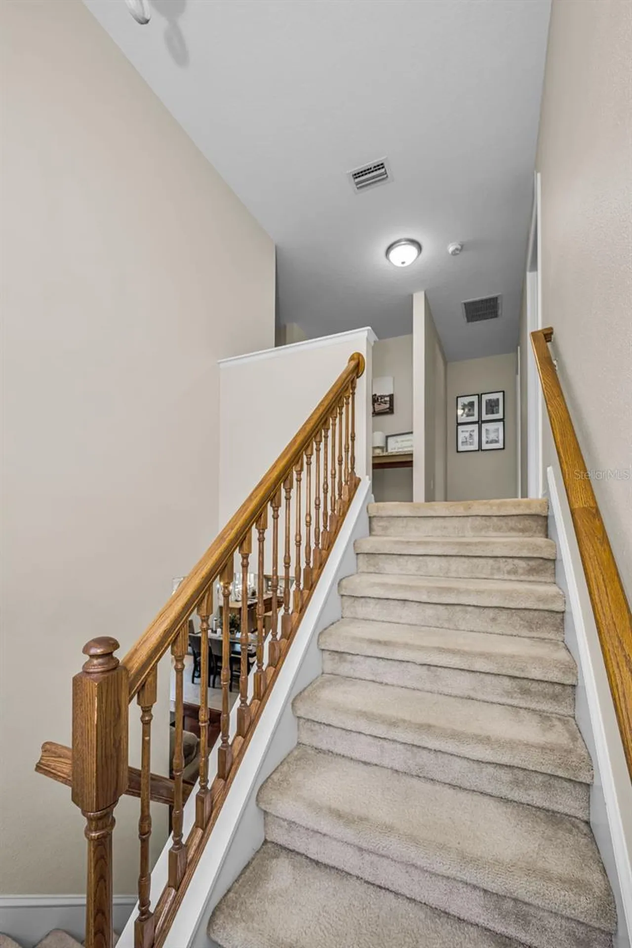 5820 Tulip Flower Drive Riverview FL 33578