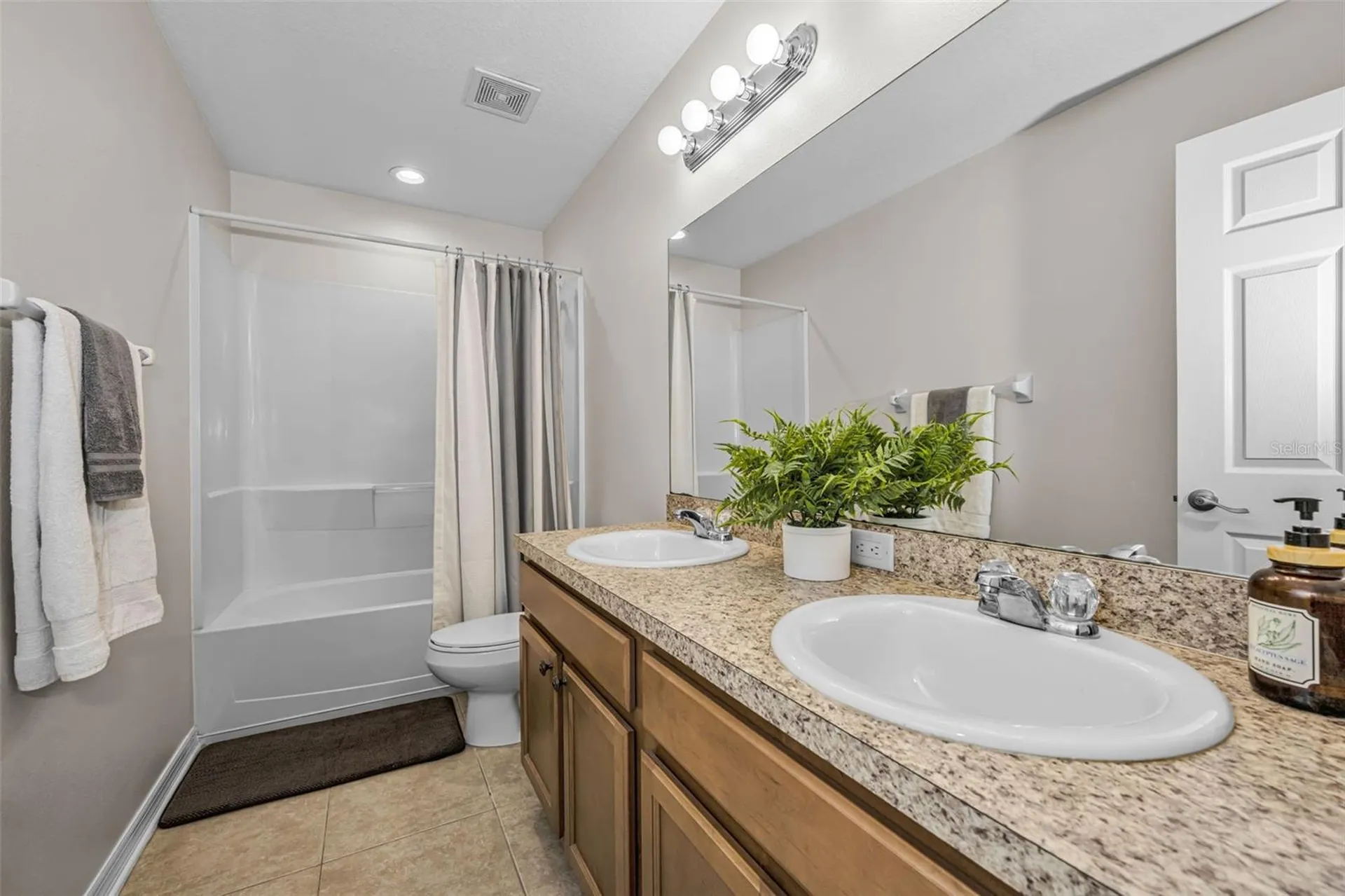 5820 Tulip Flower Drive Riverview FL 33578