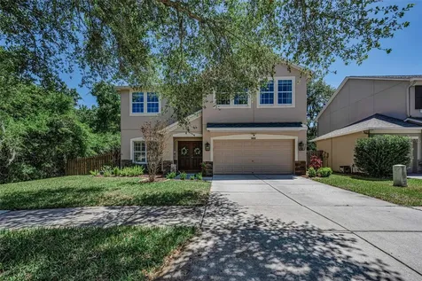 5820 Tulip Flower Drive Riverview FL 33578