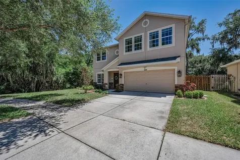5820 Tulip Flower Drive Riverview FL 33578