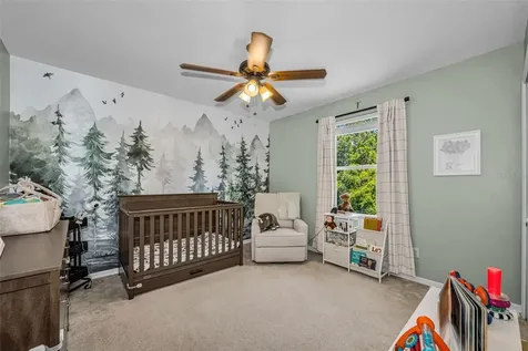 5820 Tulip Flower Drive Riverview FL 33578