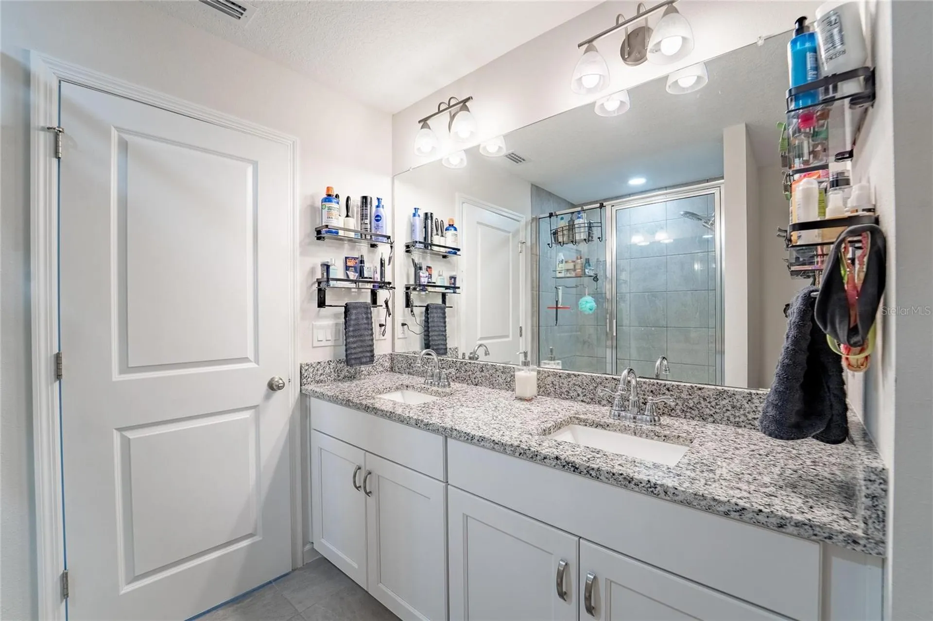 10908 Quickwater Court Riverview FL 33569