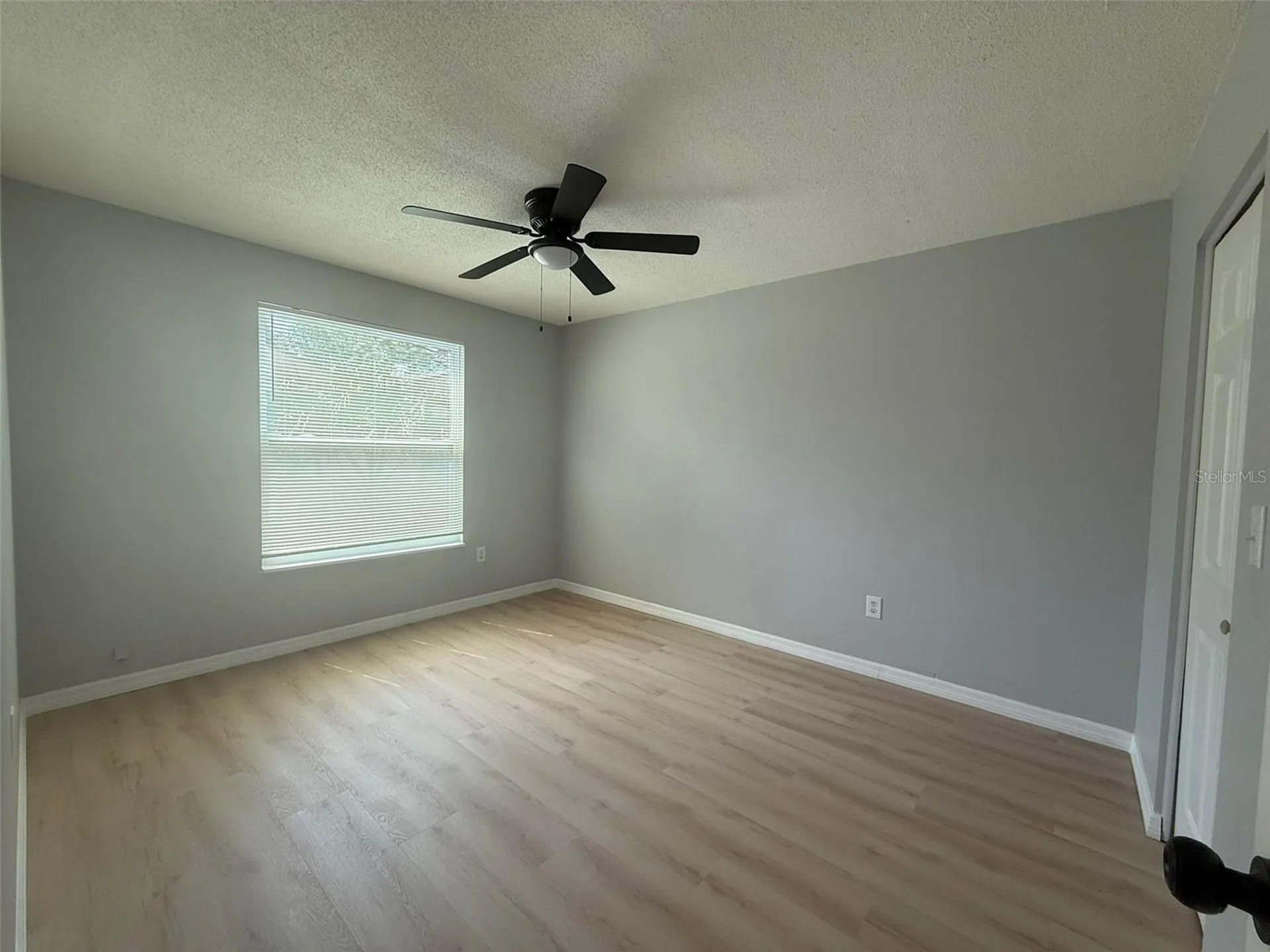 3664 Meriden Avenue Oldsmar FL 34677
