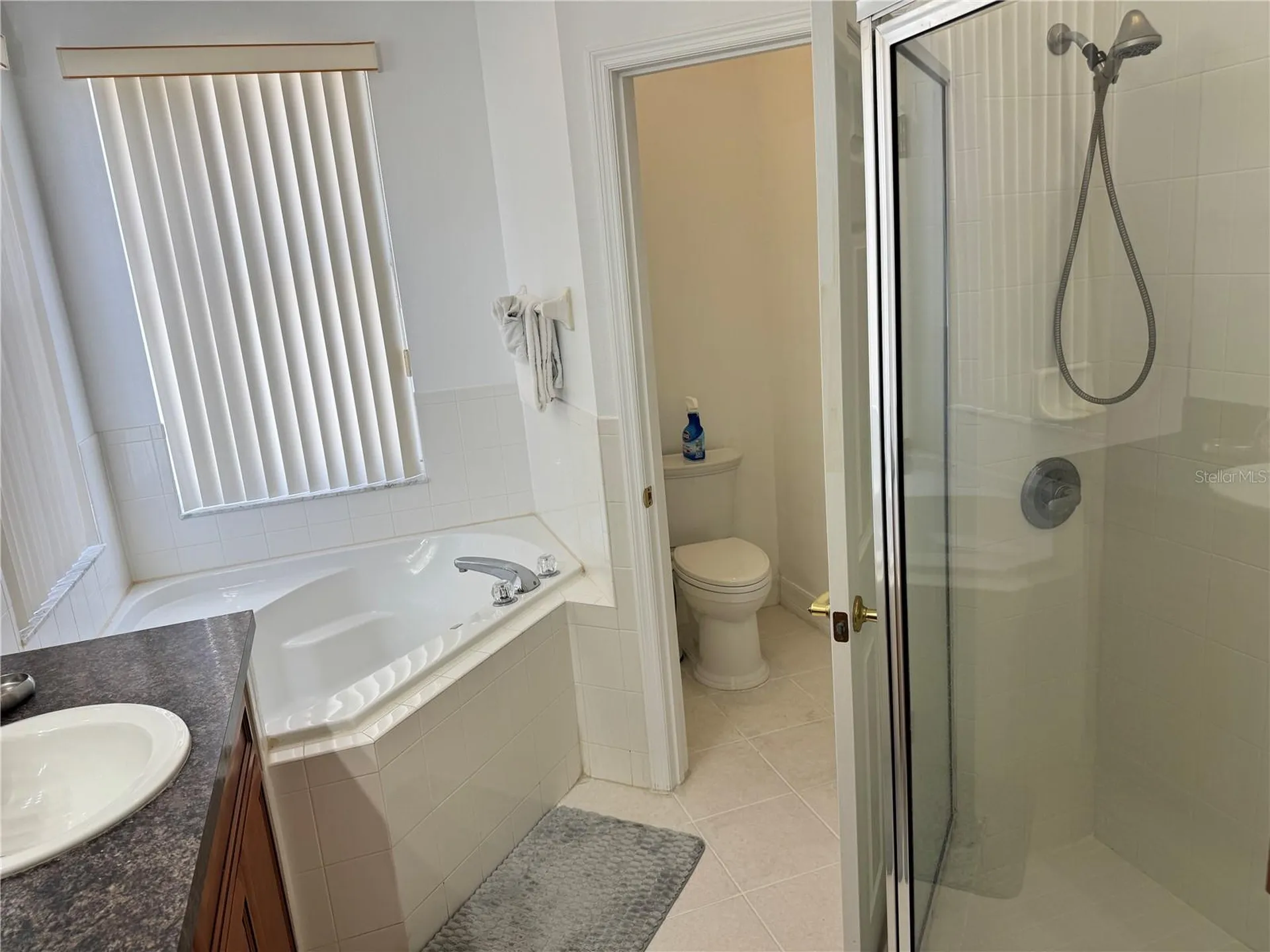 1040 Orista Drive Davenport FL 33897