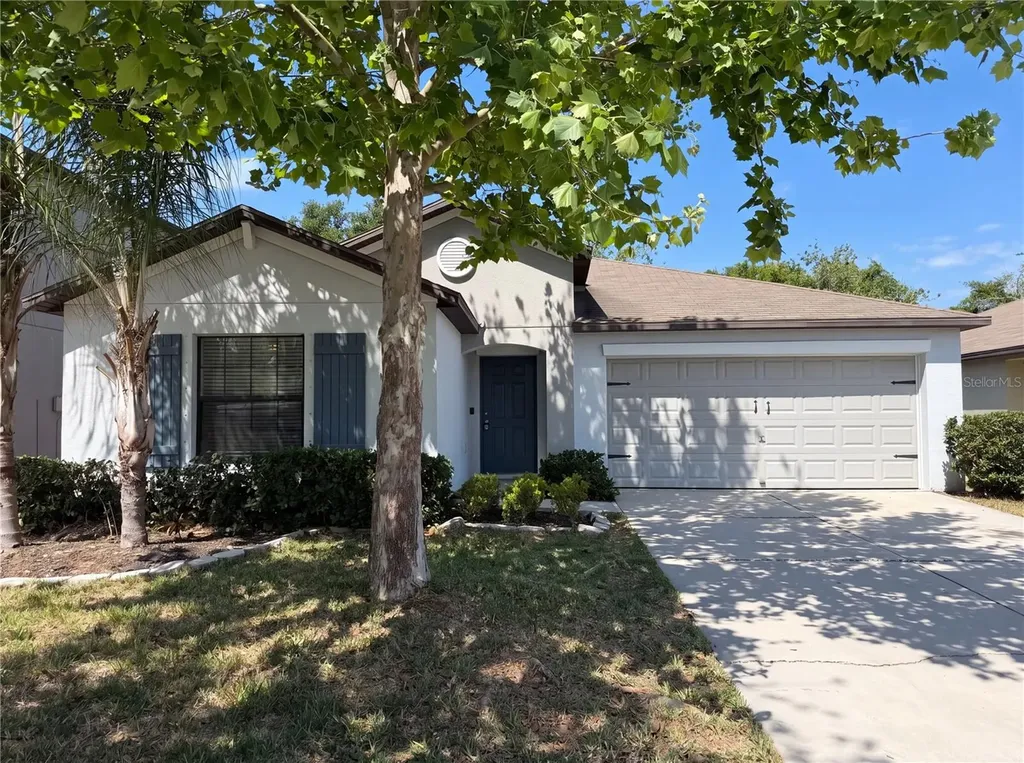 12707 Lemon Pepper Drive Riverview FL 33578