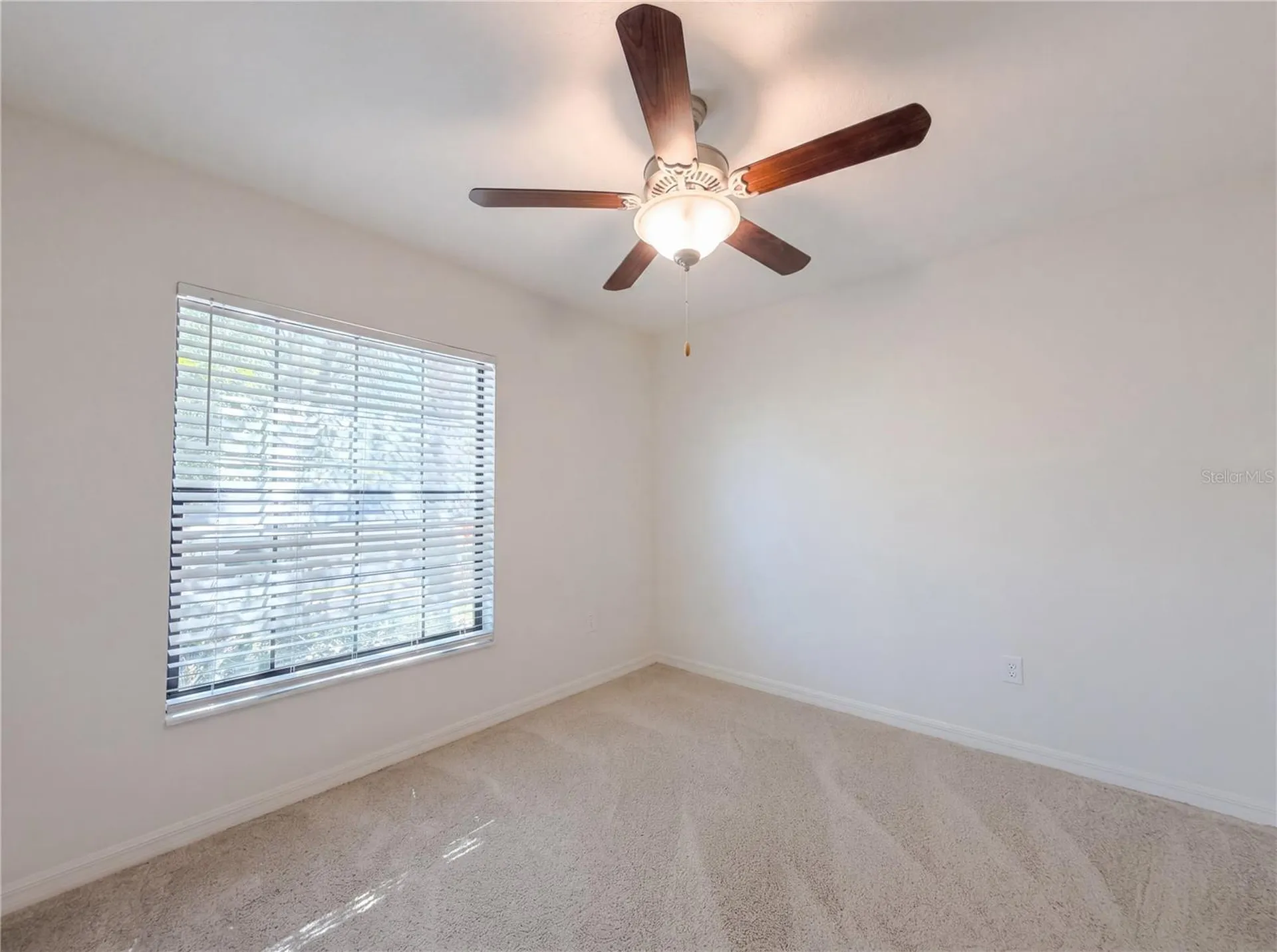 12707 Lemon Pepper Drive Riverview FL 33578