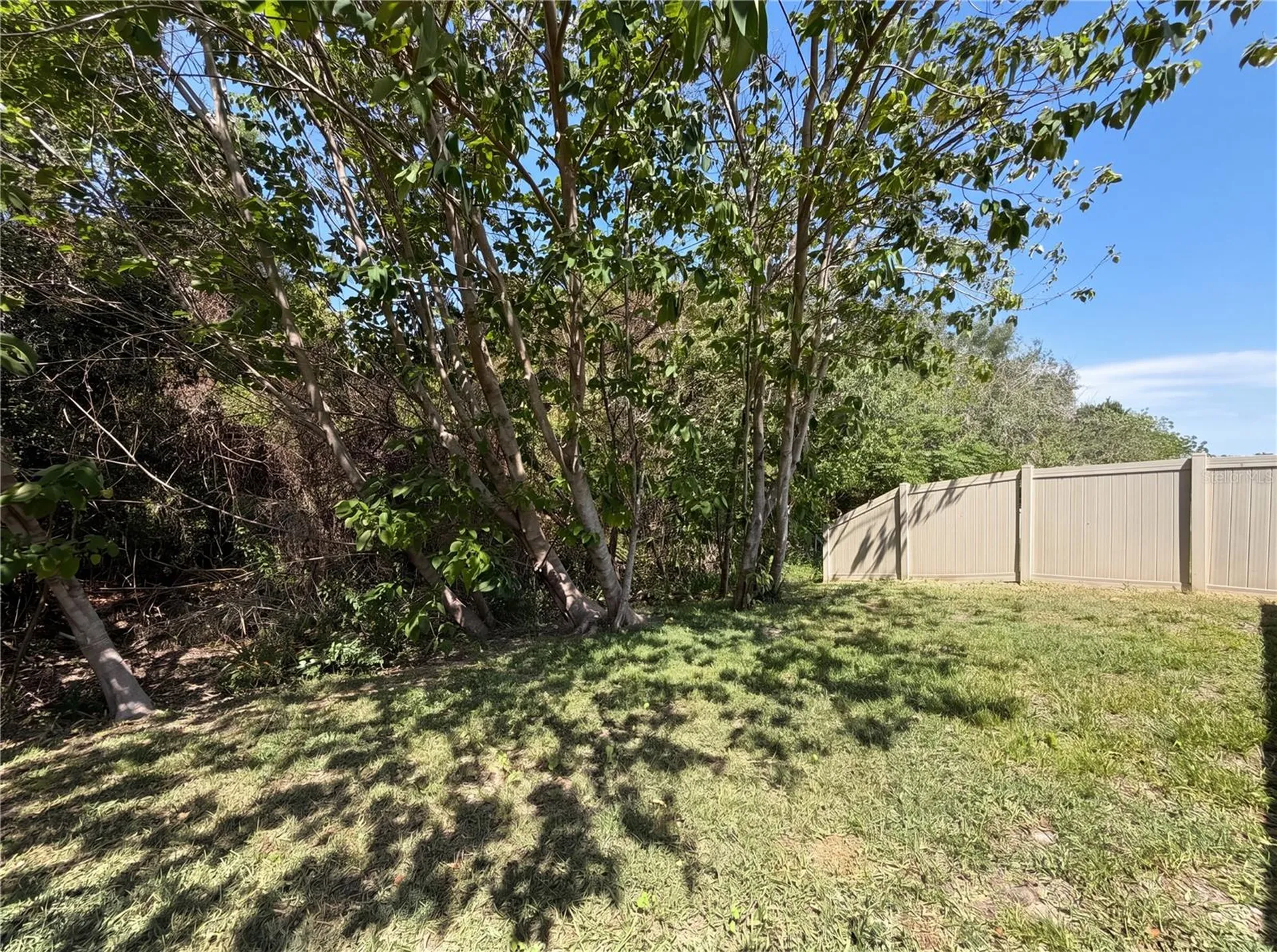12707 Lemon Pepper Drive Riverview FL 33578