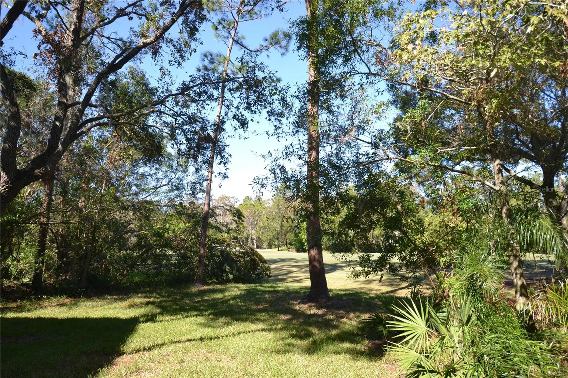 112 Lindsay Lane Oldsmar FL 34677