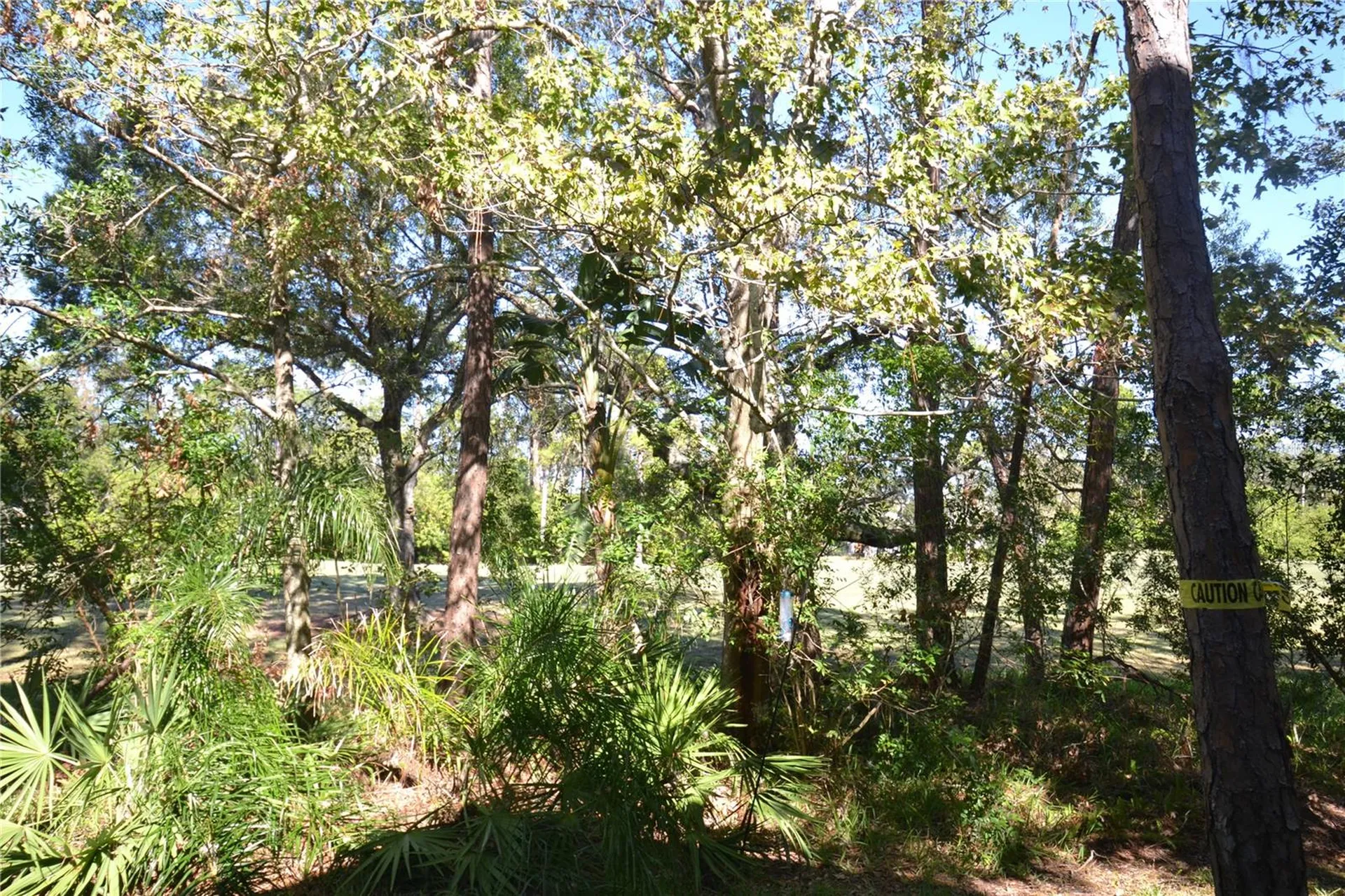 112 Lindsay Lane Oldsmar FL 34677