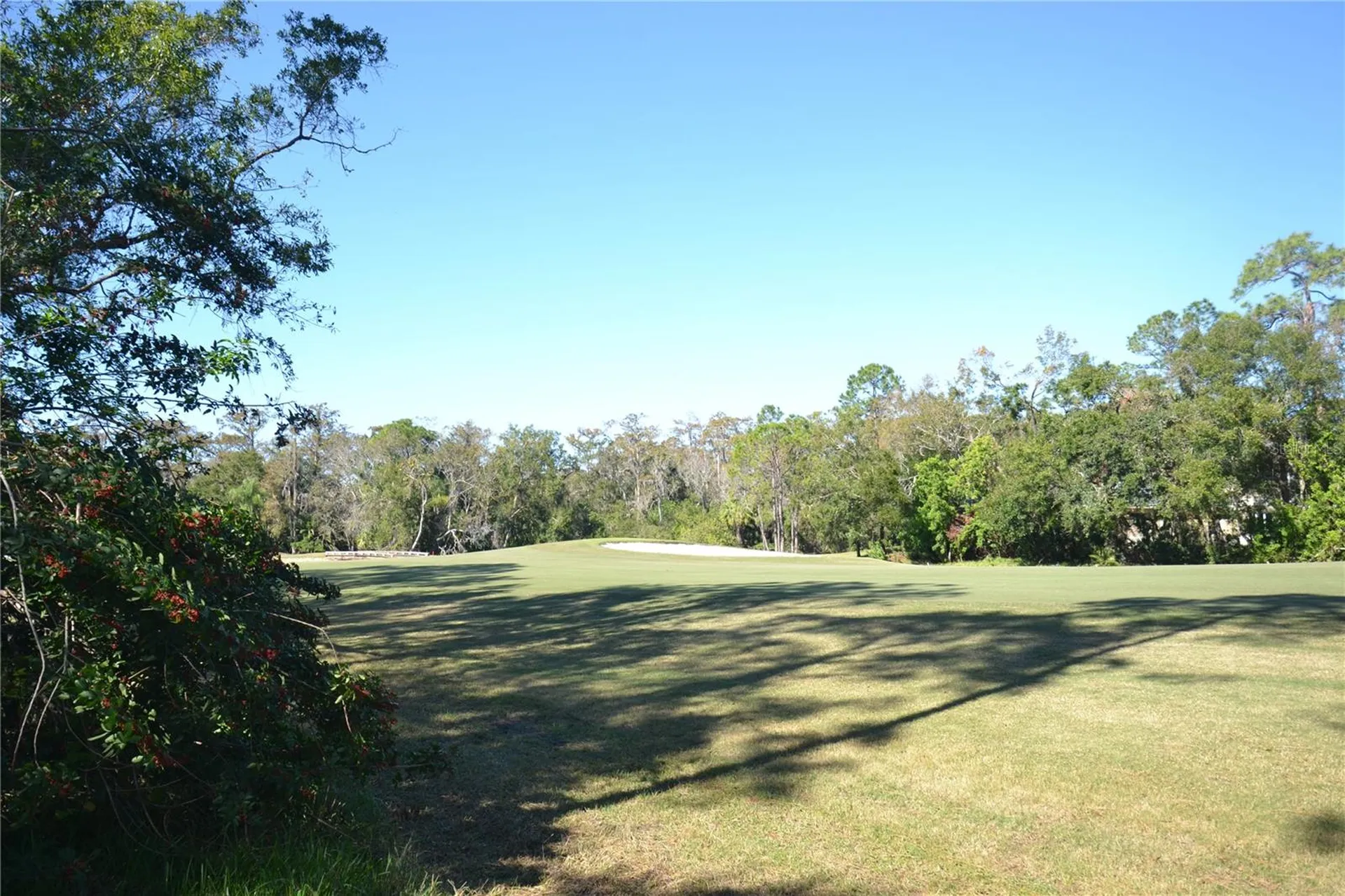 112 Lindsay Lane Oldsmar FL 34677