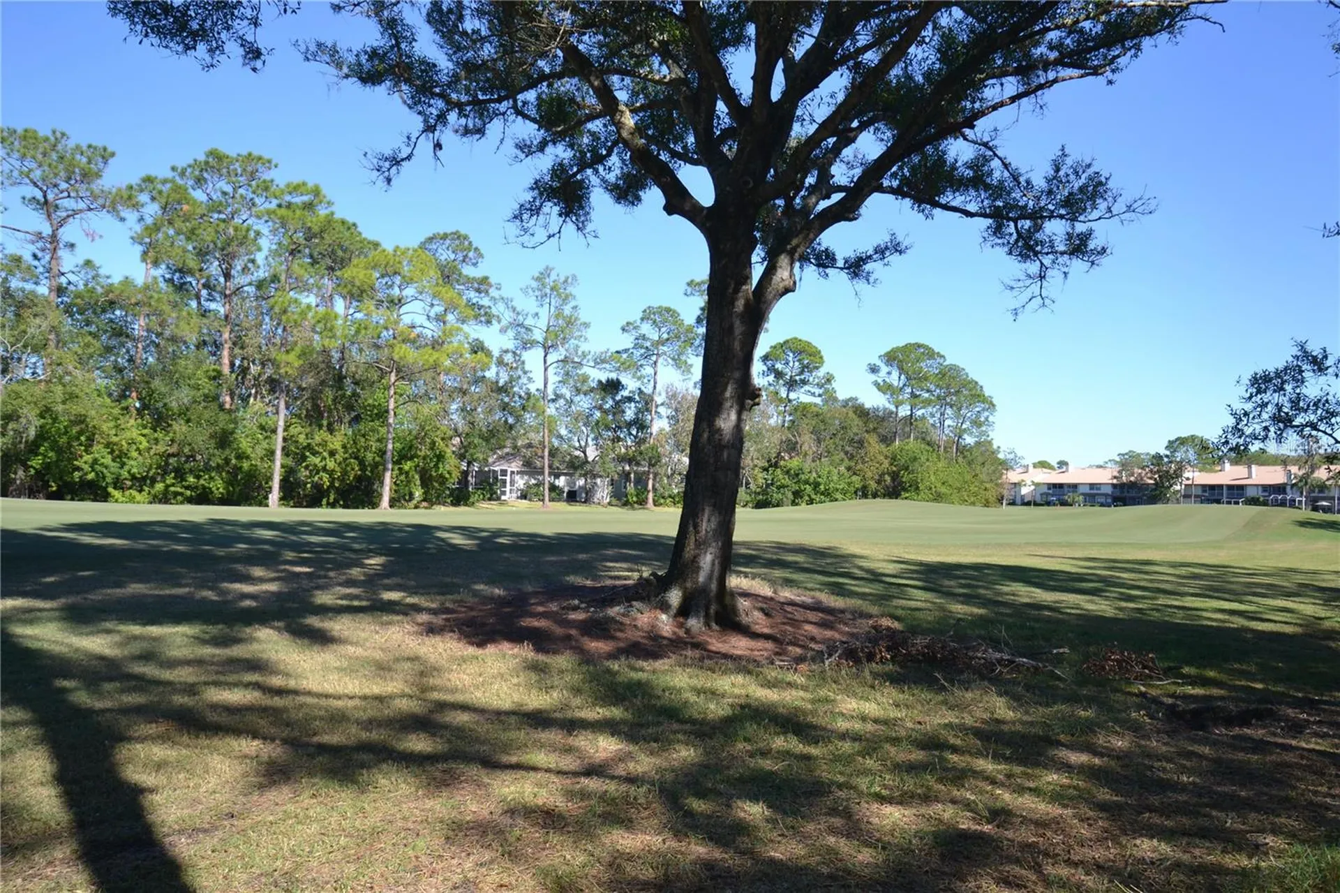 112 Lindsay Lane Oldsmar FL 34677