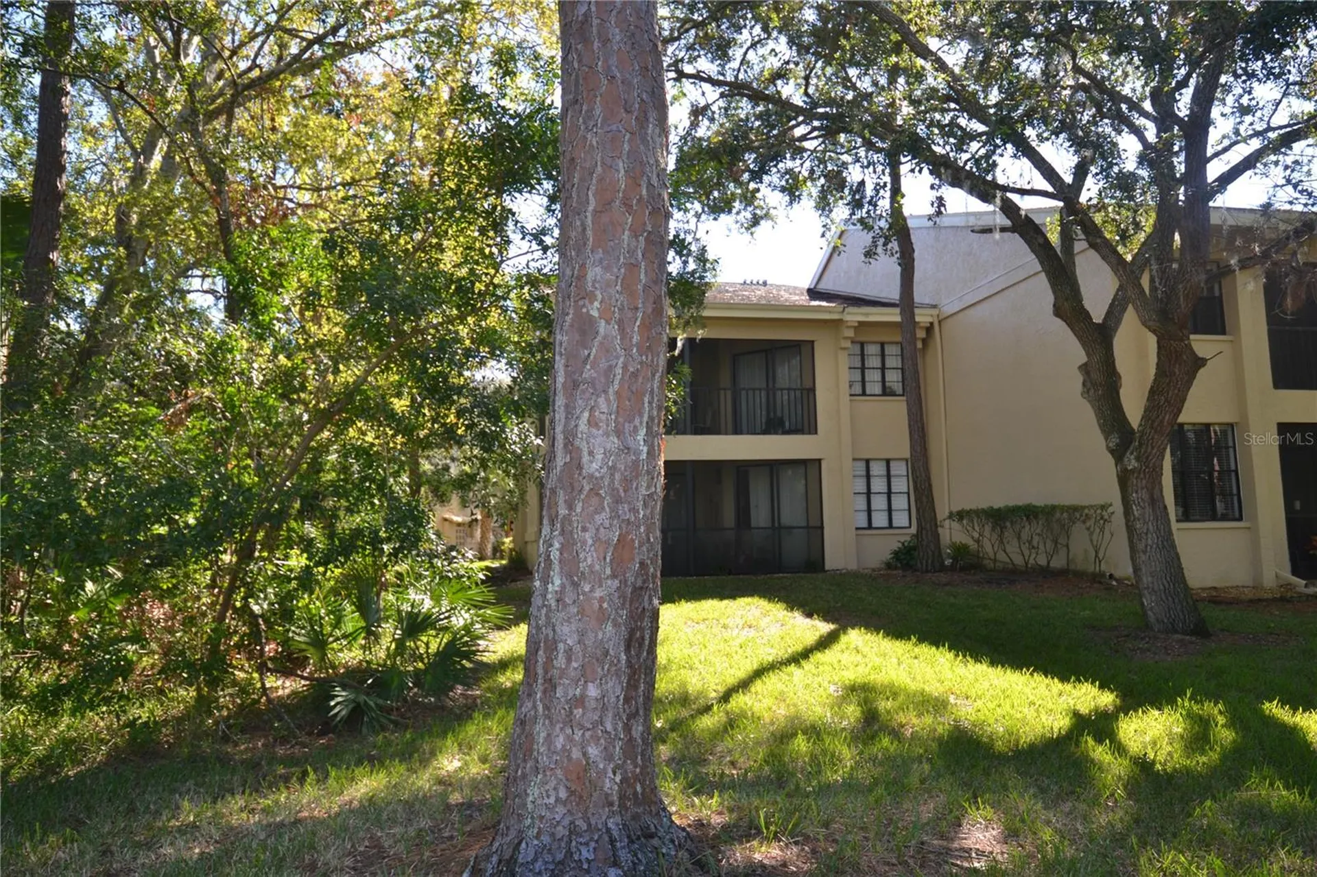 112 Lindsay Lane Oldsmar FL 34677