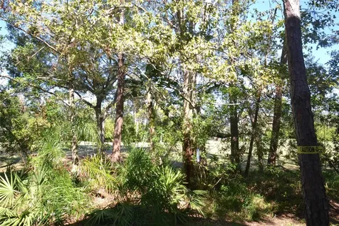 112 Lindsay Lane Oldsmar FL 34677
